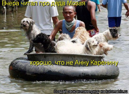 Котоматрица: Вчера читал про деда Мозая хорошо, что не Анну Каренину