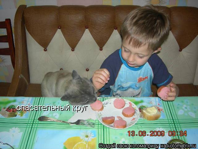 Котоматрица: спасательный круг