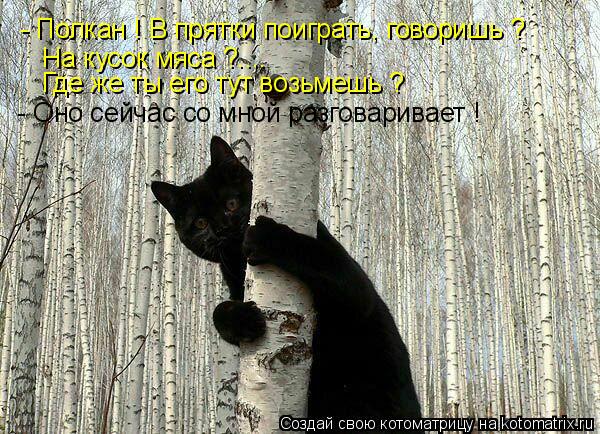 Котоматрица: - Полкан ! В прятки поиграть, говоришь ?  На кусок мяса ?.... Где же ты его тут возьмешь ? - Оно сейчас со мной разговаривает !