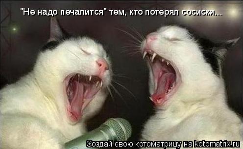 Котоматрица: "Не надо печалится" тем, кто потерял сосиски...