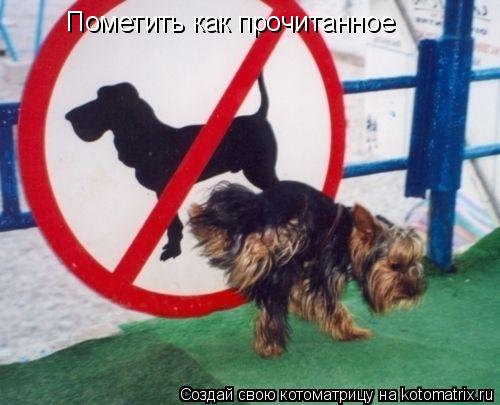 Котоматрица: Пометить как прочитанное