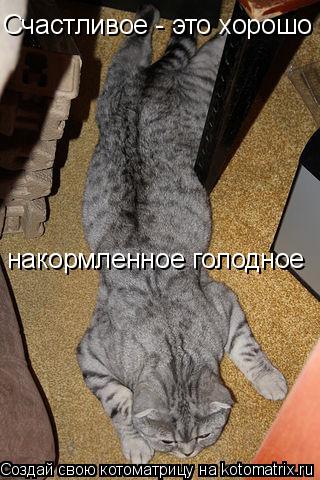Котоматрица: Счастливое - это хорошо  накормленное голодное