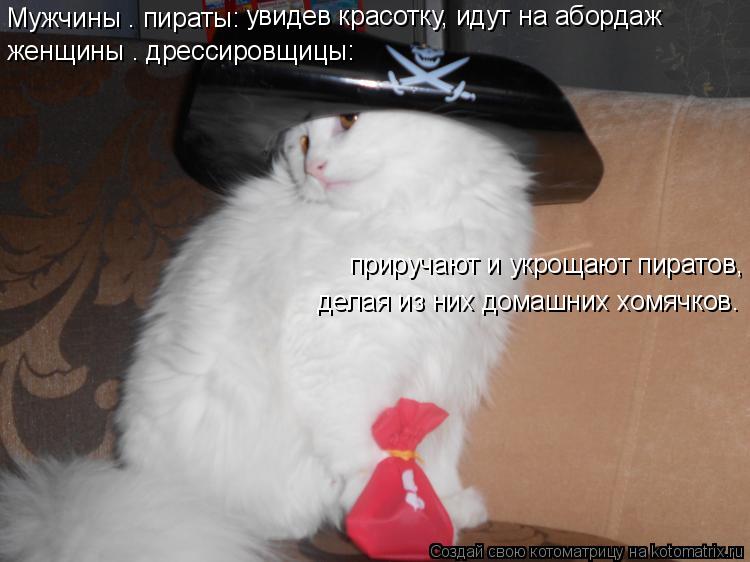 Котоматрица: Мужчины – пираты:  увидев красотку, идут на абордаж женщины – дрессировщицы: приручают и укрощают пиратов,  делая из них домашних хомячков.