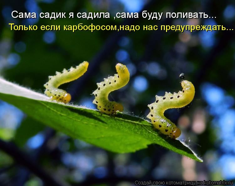 Котоматрица: Сама садик я садила ,сама буду поливать... Только если карбофосом,надо нас предупреждать...