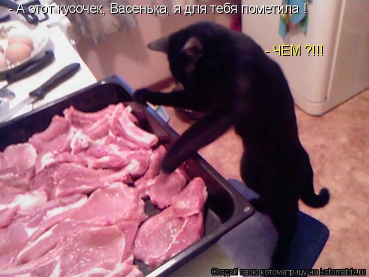 Котоматрица: - А этот кусочек, Васенька, я для тебя пометила ! - ЧЕМ ?!!!