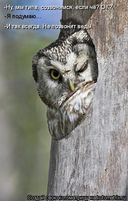 Котоматрица: -Ну, мы типа, созвонимся, если чё? ОК? -Я подумаю... -И так всегда. Не позвонит ведь!