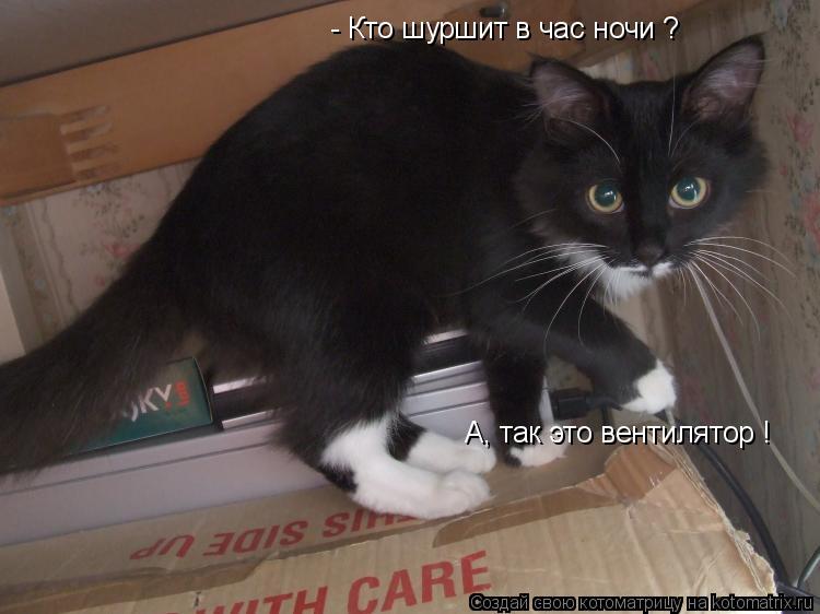 Котоматрица: - Кто шуршит в час ночи ? А, так это вентилятор !