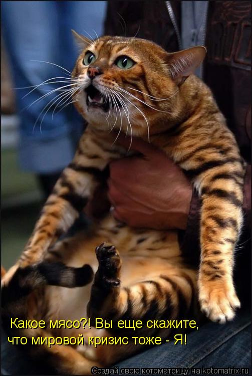 Котоматрица: Какое мясо?! Вы еще скажите,  что мировой кризис тоже - Я!