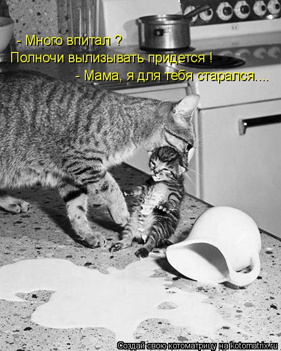 - Много впитал ? Полночи вылизывать придется ! - Мама, я для тебя старался....... Котоматрица: - Много впитал ? Полночи вылизывать придется ! - Мама, я для тебя старался....