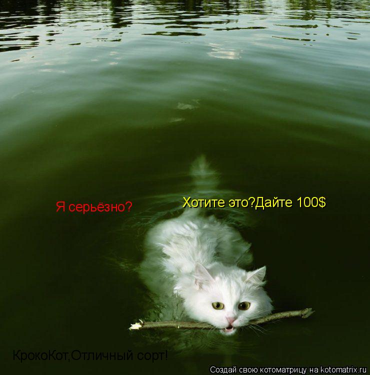 Я серьёзно? Хотите это?Дайте 100$ КрокоКот,Отличный сорт!... Котоматрица: Я серьёзно? Хотите это?Дайте 100$ КрокоКот,Отличный сорт!