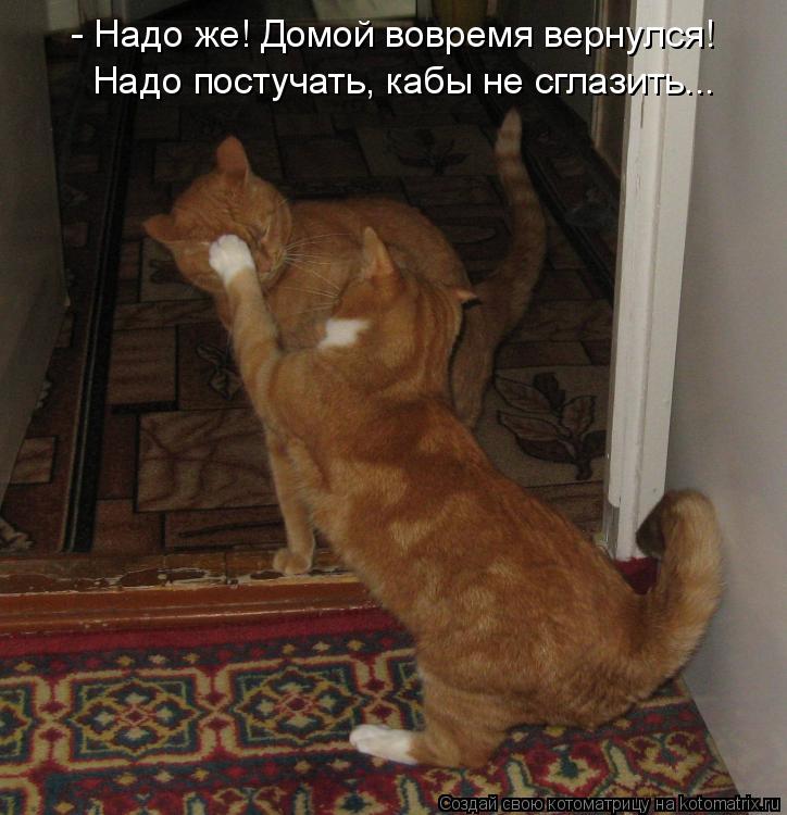 - Надо же! Домой вовремя вернулся! Надо постучать, кабы не сглазить...... Котоматрица: - Надо же! Домой вовремя вернулся! Надо постучать, кабы не сглазить...
