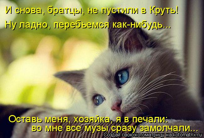 Котоматрица: И снова, братцы, не пустили в Круть! Ну ладно, перебьемся как-нибудь... Оставь меня, хозяйка, я в печали: во мне все музы сразу замолчали...