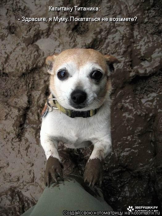 Капитану Титаника: - Здрасьте, я Муму. Покататься не возьмете?... Котоматрица: Капитану Титаника: - Здрасьте, я Муму. Покататься не возьмете?