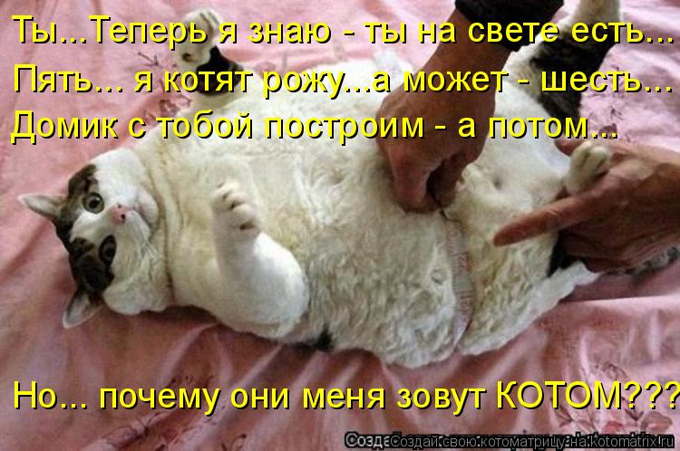 Ты...Теперь я знаю - ты на свете есть... Пять... я котят рожу...а может - шесть... Домик с тобой пост... Котоматрица: Ты...Теперь я знаю - ты на свете есть... Пять... я котят рожу...а может - шесть... Домик с тобой построим - а потом... Но... почему они меня зовут КОТ