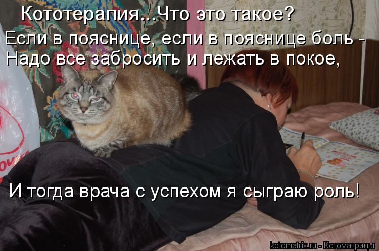 Кототерапия...Что это такое? Если в пояснице, если в пояснице боль - Надо все забросить и лежать в п... Котоматрица: Кототерапия...Что это такое? Если в пояснице, если в пояснице боль - Надо все забросить и лежать в покое, И тогда врача с успехом я сыграю рол