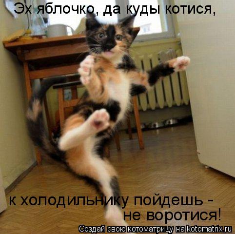 Эх яблочко, да куды котися, к холодильнику пойдешь - не воротися!... Котоматрица: Эх яблочко, да куды котися, к холодильнику пойдешь - не воротися!