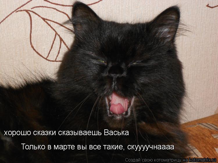 хорошо сказки сказываешь Васька Только в марте вы все такие, скуууучнаааа... Котоматрица: хорошо сказки сказываешь Васька Только в марте вы все такие, скуууучнаааа
