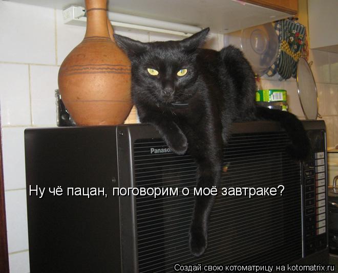 Ну чё пацан, поговорим о моё завтраке?... Котоматрица: Ну чё пацан, поговорим о моё завтраке?