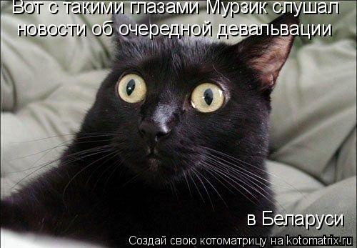 Вот с такими глазами Мурзик слушал новости об очередной девальвации в Беларуси... Котоматрица: Вот с такими глазами Мурзик слушал новости об очередной девальвации в Беларуси
