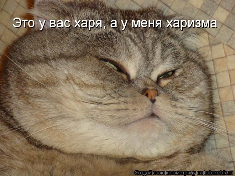 Это у вас харя, а у меня харизма... Котоматрица: Это у вас харя, а у меня харизма