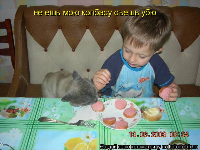 не ешь мою колбасу съешь убю... Котоматрица: не ешь мою колбасу съешь убю