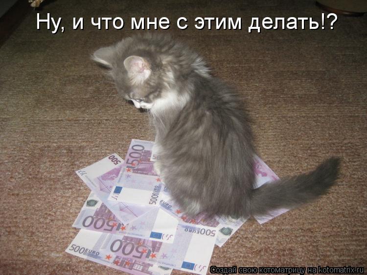 Ну, и что мне с этим делать!?... Котоматрица: Ну, и что мне с этим делать!?
