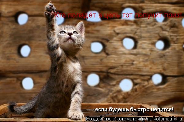 Кто попадёт в цель тот получит приз! если будешь быстро целится!... Котоматрица: Кто попадёт в цель тот получит приз! если будешь быстро целится!
