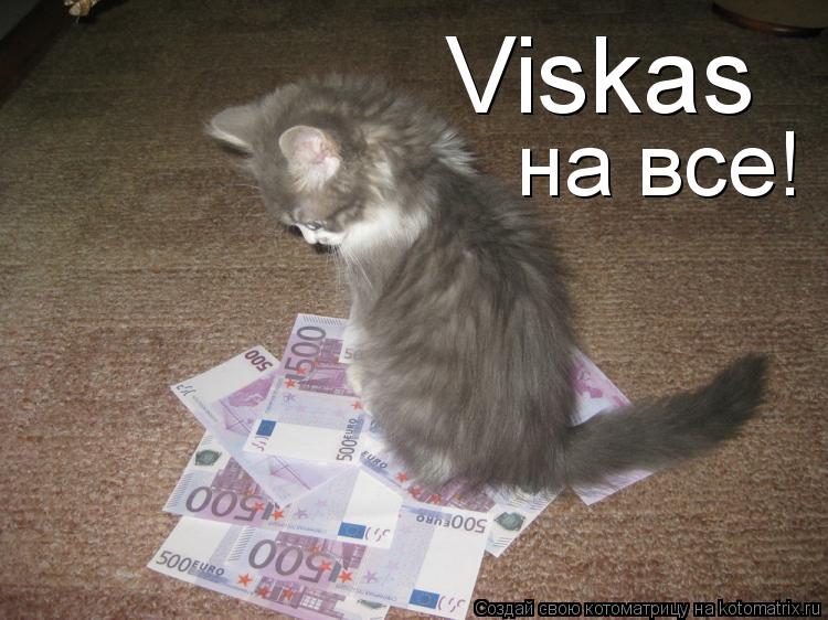 Viskas на все!... Котоматрица: Viskas на все!