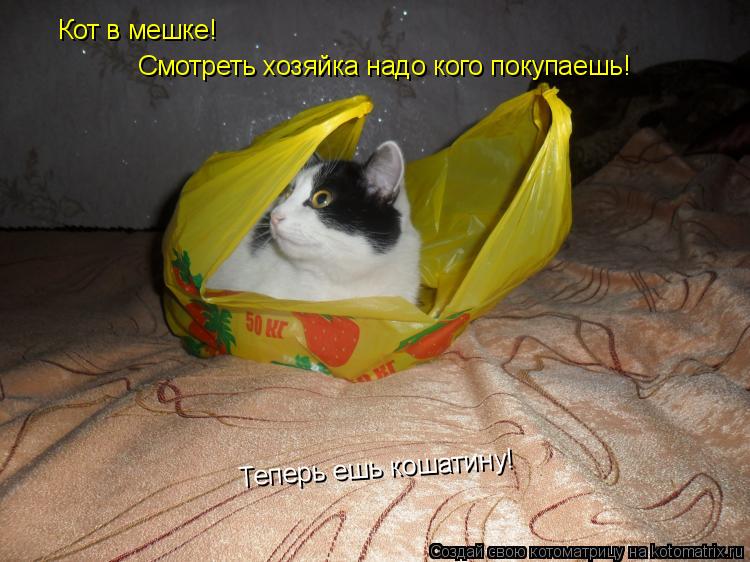 Кот в мешке! Смотреть хозяйка надо кого покупаешь! Смотреть хозяйка надо кого покупаешь! Теперь ешь к... Котоматрица: Кот в мешке! Смотреть хозяйка надо кого покупаешь! Смотреть хозяйка надо кого покупаешь! Теперь ешь кошатину! Теперь ешь кошатину!