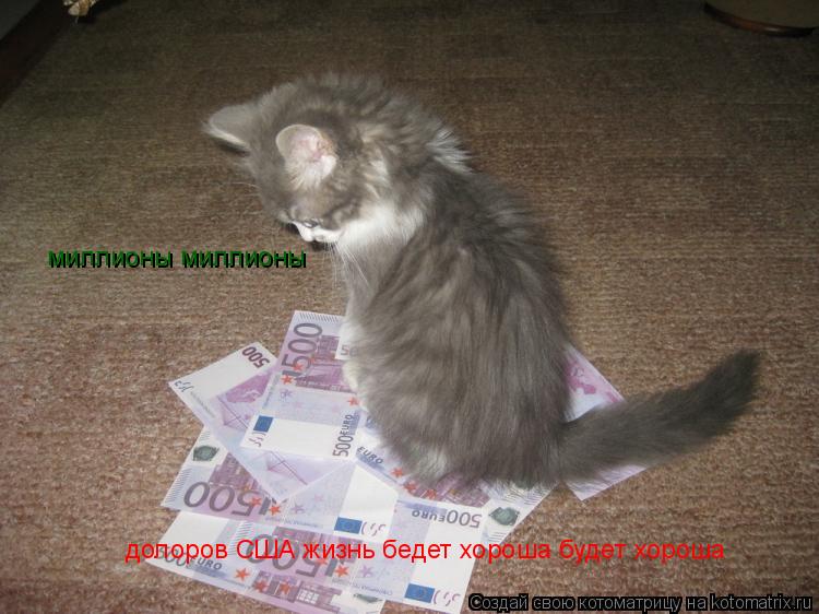 долоров США жизнь бедет хороша будет хороша миллионы миллионы... Котоматрица: долоров США жизнь бедет хороша будет хороша миллионы миллионы