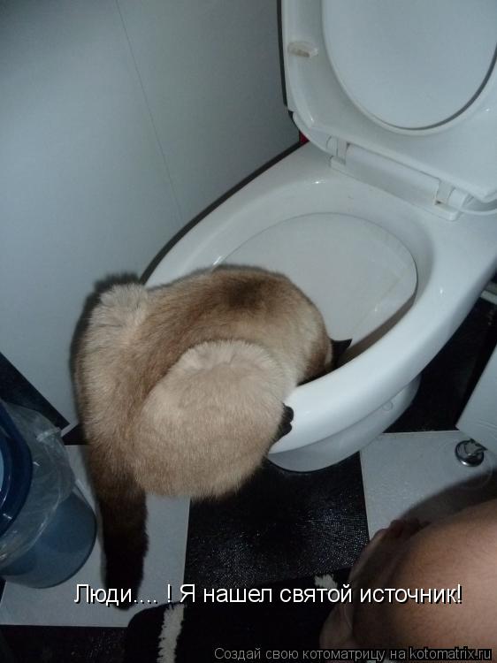 Люди.... ! Я нашел святой источник!... Котоматрица: Люди.... ! Я нашел святой источник!