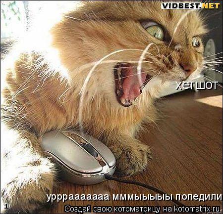 хетшот урррааааааа мммыыыыы попедили... Котоматрица: хетшот урррааааааа мммыыыыы попедили