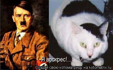 -Я воскрес!....... Котоматрица: -Я воскрес!....