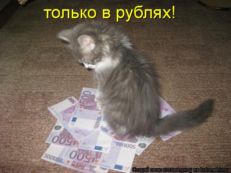 только в рублях!... Котоматрица: только в рублях!