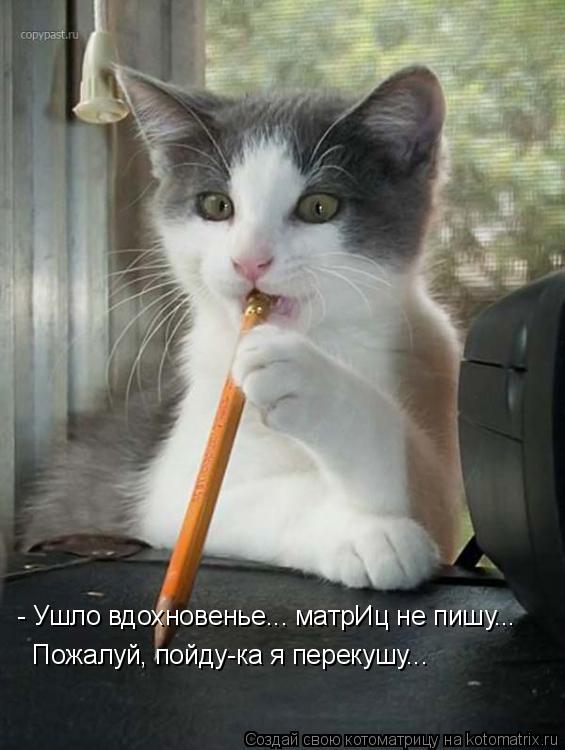 Котоматрица: - Ушло вдохновенье... матрИц не пишу... Пожалуй, пойду-ка я перекушу...