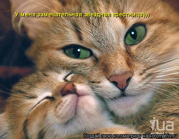 У меня замечательная звездная крестница)))... Котоматрица: У меня замечательная звездная крестница)))