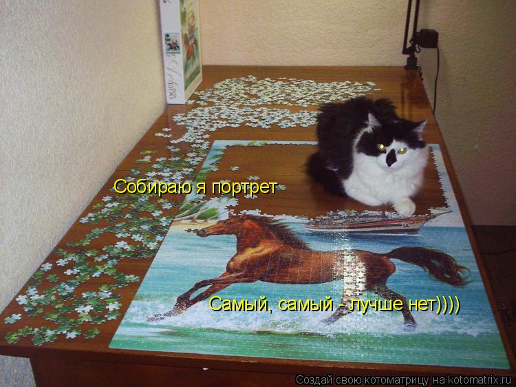 Котоматрица: Собираю я портрет Самый, самый - лучше нет))))