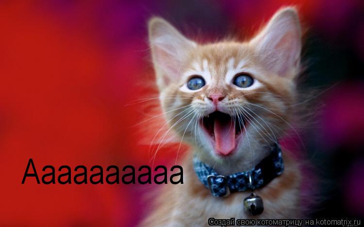 Котоматрица: Аааааааааа
