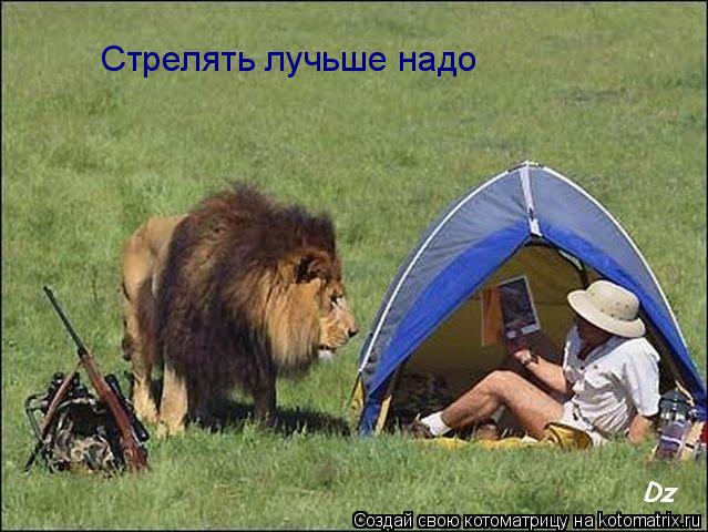 Котоматрица: Стрелять лучьше надо