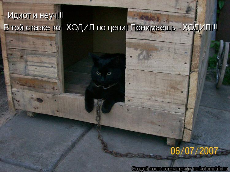 Котоматрица: Идиот и неуч!!!  В той сказке кот ХОДИЛ по цепи! Понимаешь - ХОДИЛ!!!
