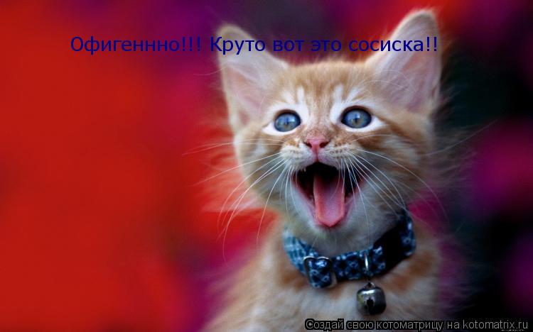 Котоматрица: Офигеннно!!! Круто вот это сосиска!!