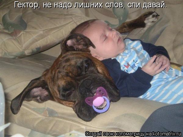 Котоматрица: Гектор, не надо лишних слов, спи давай.