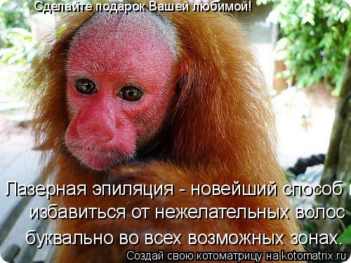 Котоматрица: Лазерная эпиляция - новейший способ избавиться от нежелательных волос буквально во всех возможных зонах.  избавиться от нежелательных вол