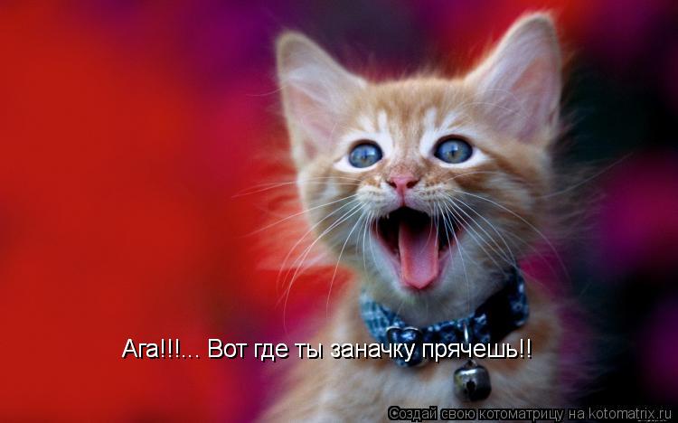 Котоматрица: Ага!!!... Вот где ты заначку прячешь!! Ага!!!... Вот где ты заначку прячешь!!