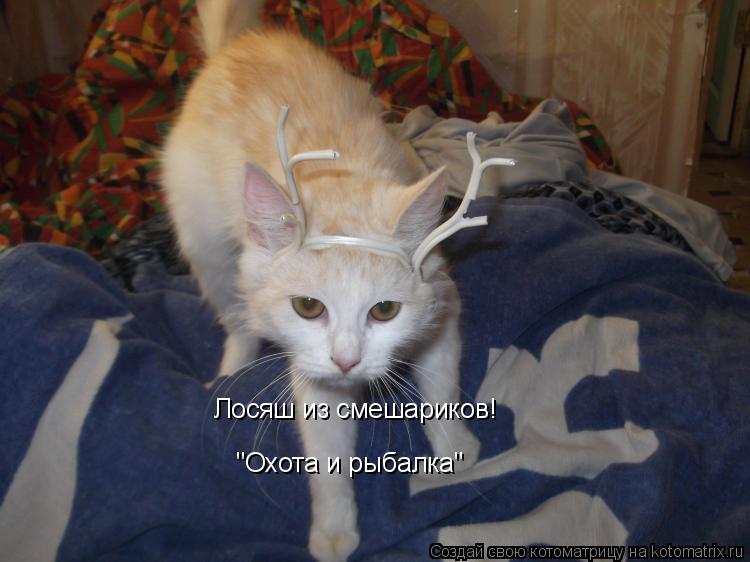 Котоматрица: Лосяш из смешариков! "Охота и рыбалка"