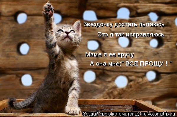 Котоматрица: Звездочку достать пытаюсь Это я так исправляюсь Маме я ее вручу А она мне:" ВСЕ ПРОЩУ ! "