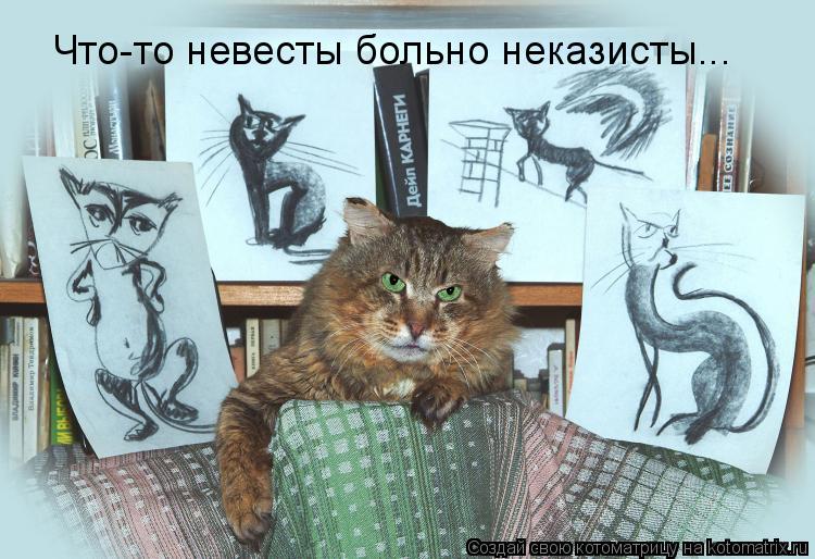 Котоматрица: Что-то невесты больно неказисты...