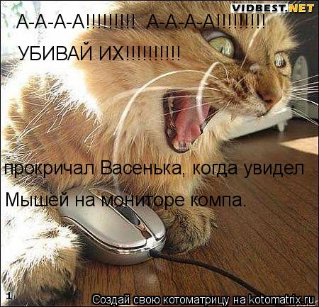 Котоматрица: А-А-А-А!!!!!!!!!  А-А-А-А!!!!!!!!!   УБИВАЙ ИХ!!!!!!!!!! прокричал Васенька, когда увидел Мышей на мониторе компа .