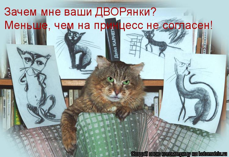 Котоматрица: Зачем мне ваши ДВОРянки? Меньше, чем на принцесс не согласен!