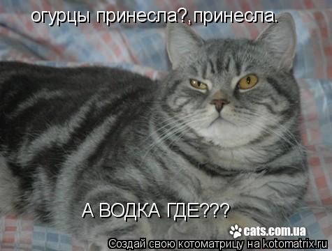 Котоматрица: огурцы принесла?,принесла. А ВОДКА ГДЕ???